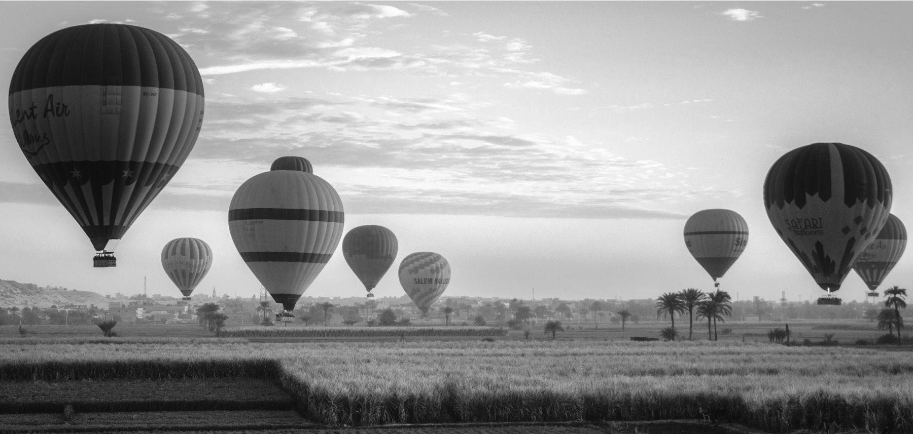 Hot air balloons flying over a field in black and white.